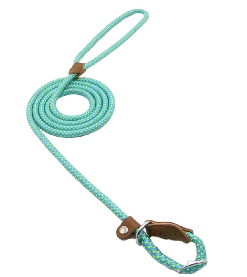 Nylon Pup Set – Durable Collar & Leash Set for Everyday Adventures