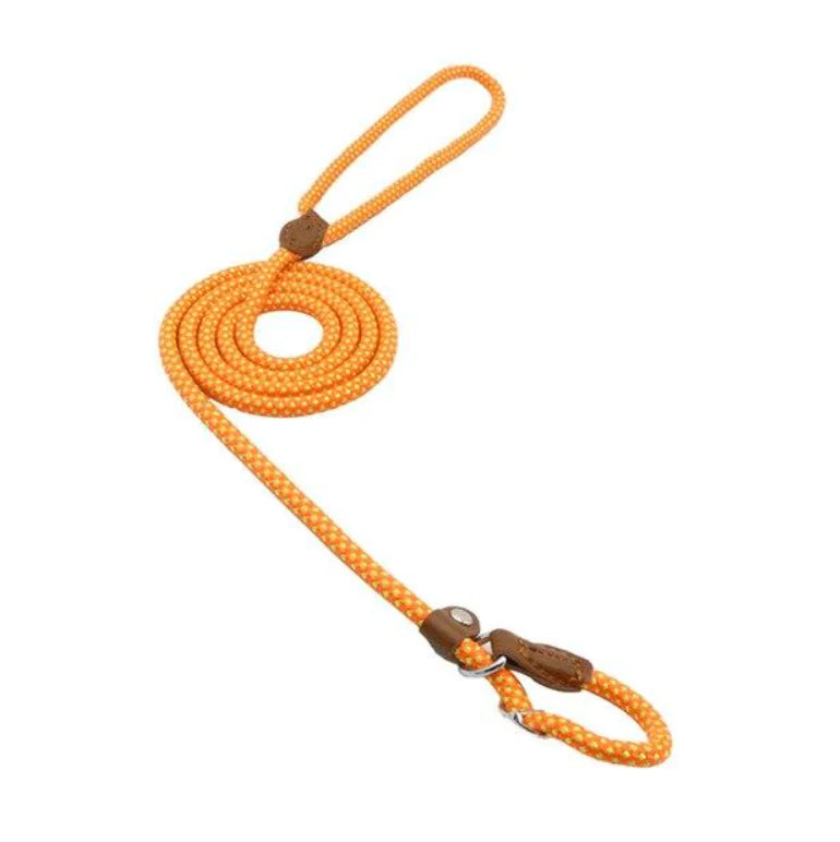 Nylon Pup Set – Durable Collar & Leash Set for Everyday Adventures