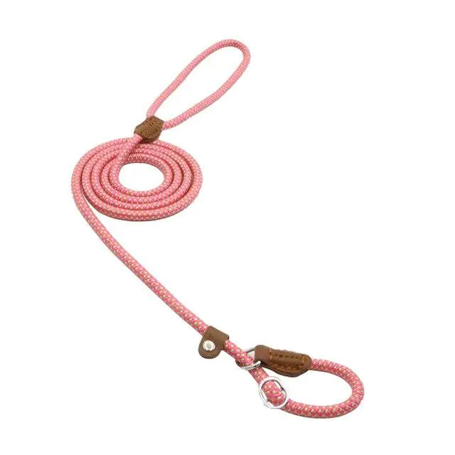 Nylon Pup Set – Durable Collar & Leash Set for Everyday Adventures