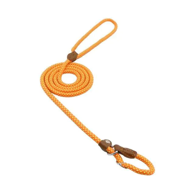 Nylon Pup Set – Durable Collar & Leash Set for Everyday Adventures