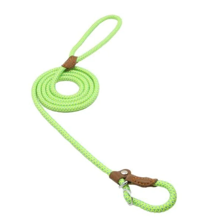 Nylon Pup Set – Durable Collar & Leash Set for Everyday Adventures