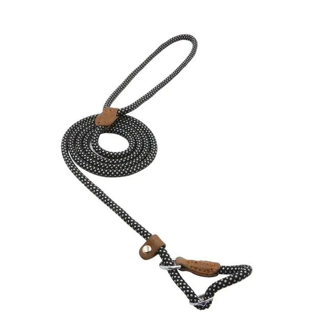 Nylon Pup Set – Durable Collar & Leash Set for Everyday Adventures