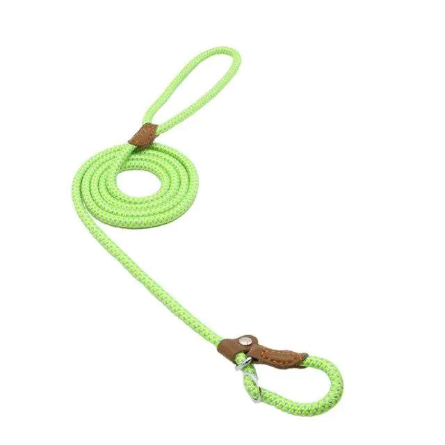 Nylon Pup Set – Durable Collar & Leash Set for Everyday Adventures