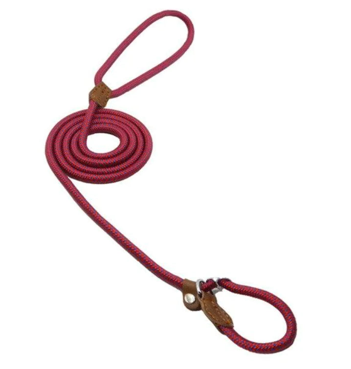 Nylon Pup Set – Durable Collar & Leash Set for Everyday Adventures