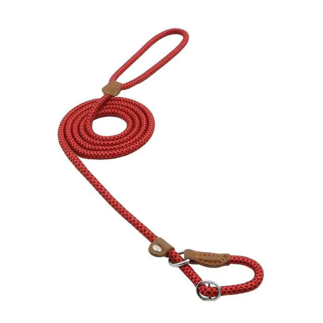 Nylon Pup Set – Durable Collar & Leash Set for Everyday Adventures