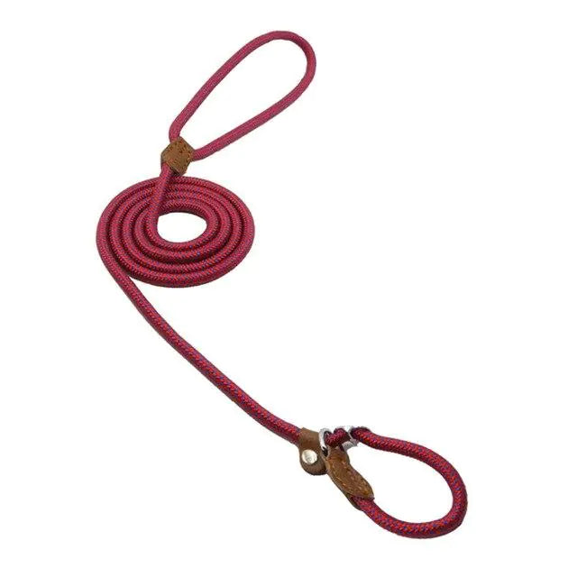 Nylon Pup Set – Durable Collar & Leash Set for Everyday Adventures