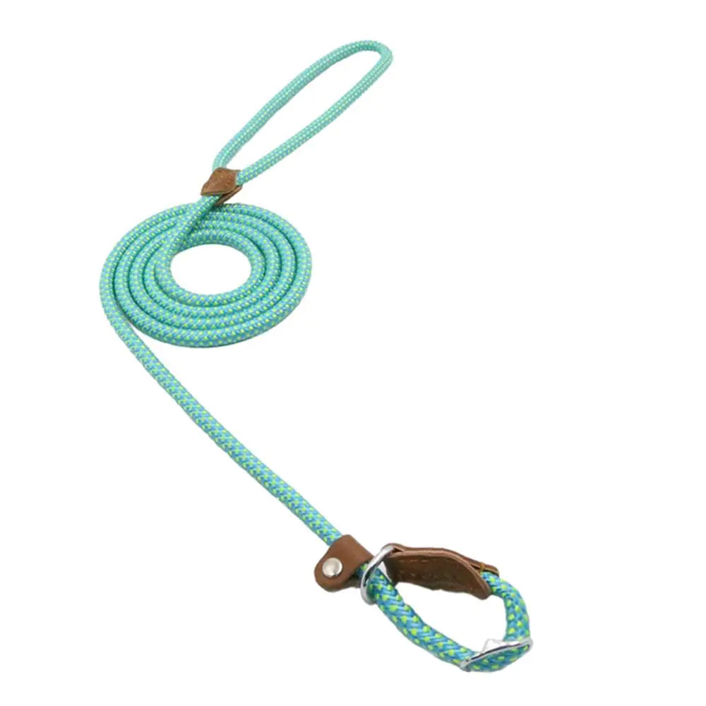 Nylon Pup Set – Durable Collar & Leash Set for Everyday Adventures