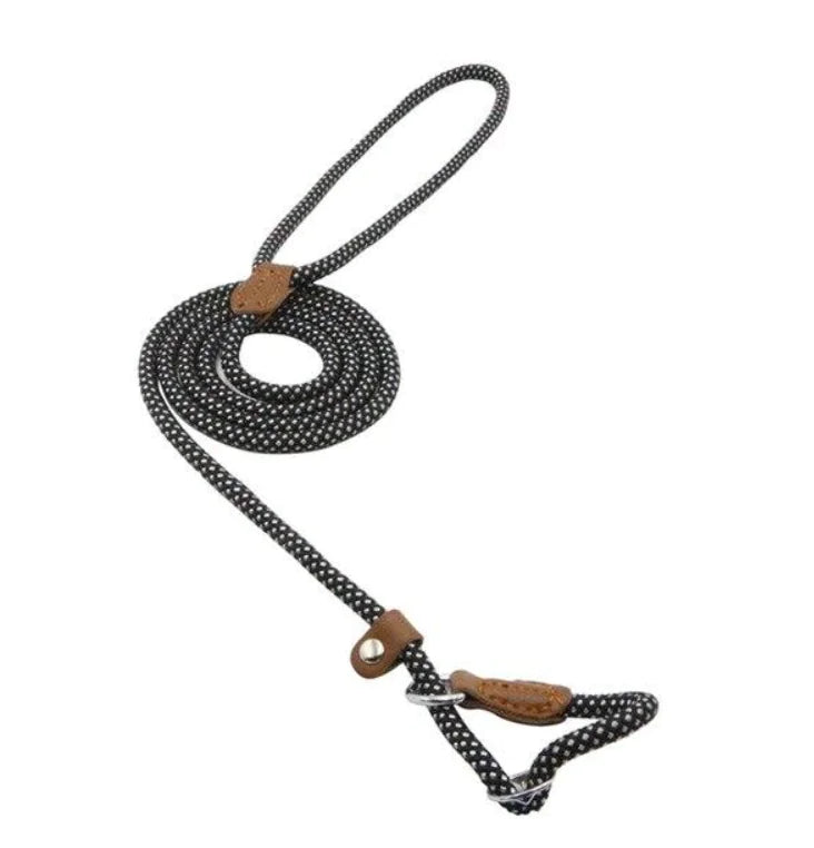 Nylon Pup Set – Durable Collar & Leash Set for Everyday Adventures